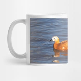 Female Ruddy Shelduck Mug